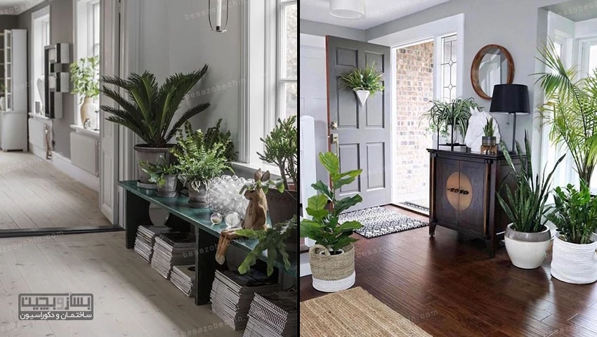 استفاده از گلدان و گل آپارتمانی برای راهروی ورودی منزل