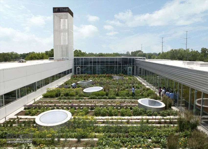 روف گاردن مرکز جوانان کمر در شیکاگو