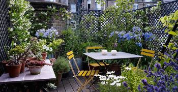 طراحی حیاط خلوت باریک، ایده‌های کاربردی برای این فضای سبز کوچک