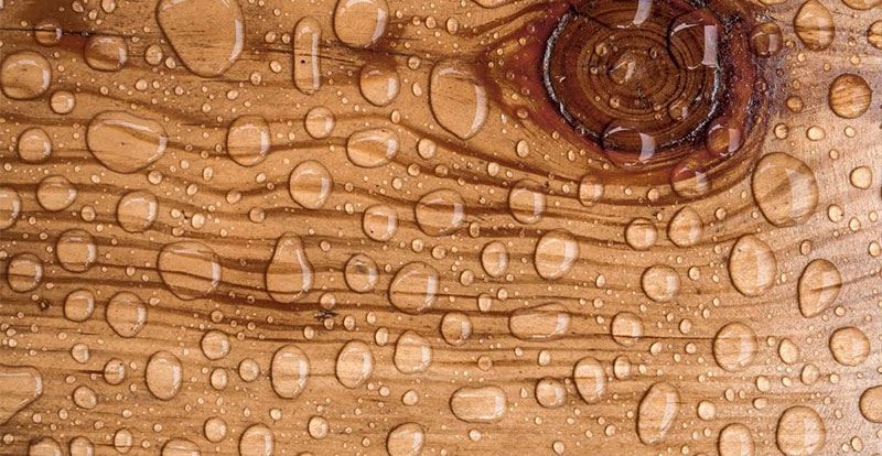 راهنمای خرید چوب ضد آب (معرفی انواع + بهترین چوب ضد آب)