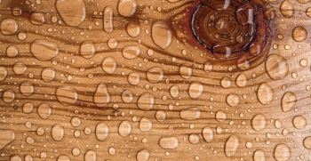راهنمای خرید چوب ضد آب (معرفی انواع + بهترین چوب ضد آب)