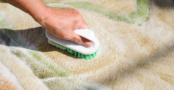 فرش چرک مرده را چگونه تمیز کنیم؟ راهکارهایی برای انواع فرش