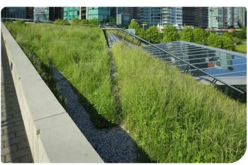 زهکشی روف گاردن بخش مهم تجهیزات روف گاردن