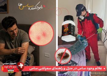 علائم ساس در منزل + راهنمای سمپاشی ساس با سم ساس ناک اوت